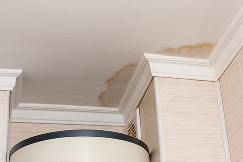 Common Signs You Have a Hidden Water Leak
