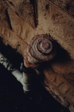 sewer line repair aurora