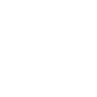 Vehicles on the Road