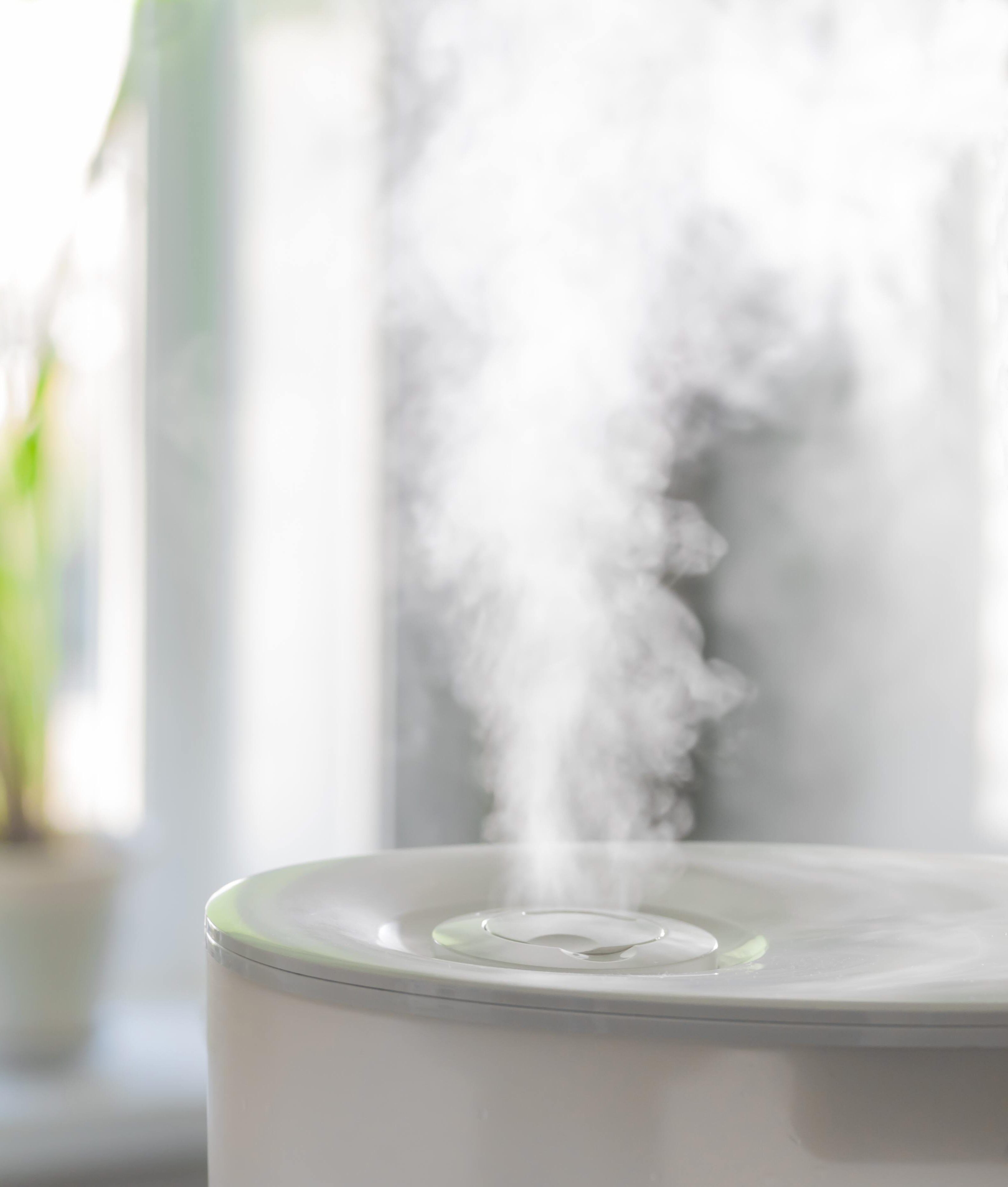 Vapor from humidifier in front of window